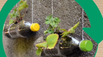 Abfallvermeidung PETFlaschen hängen mit Blumen an der Wand